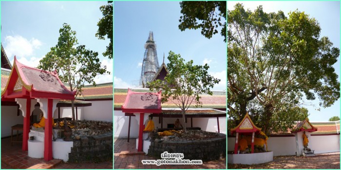 พระศรีมหาโพธิ์ copy