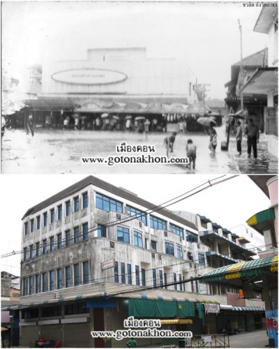 pวิกดาว copy